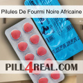 African Black Ant Pills new14